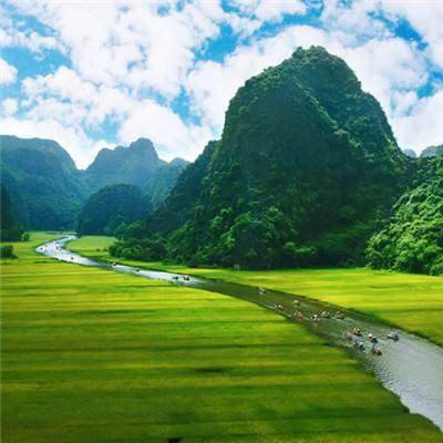 恐龙宝贝神奇之旅变态版下载