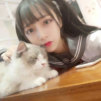 疯狂火箭侠手机版下载
